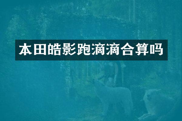 本田皓影跑滴滴合算吗