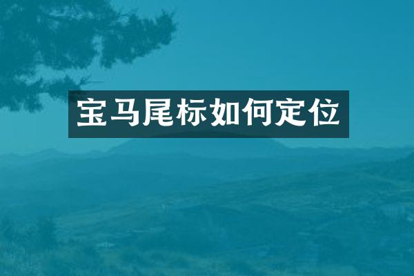 宝马尾标如何定位