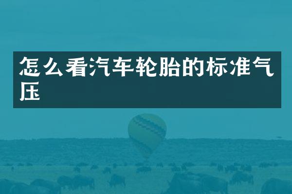 怎么看汽车轮胎的标准气压