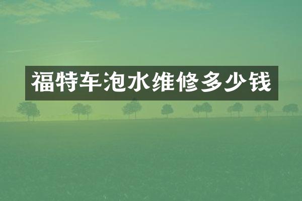 福特车泡水维修多少钱