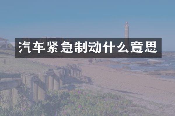 汽车紧急制动什么意思