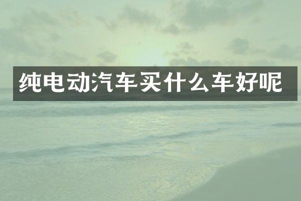纯电动汽车车好呢