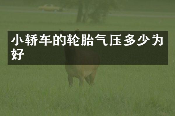 小轿车的轮胎气压多少为好