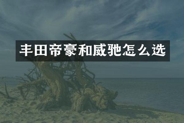 丰田帝豪和威驰怎么选