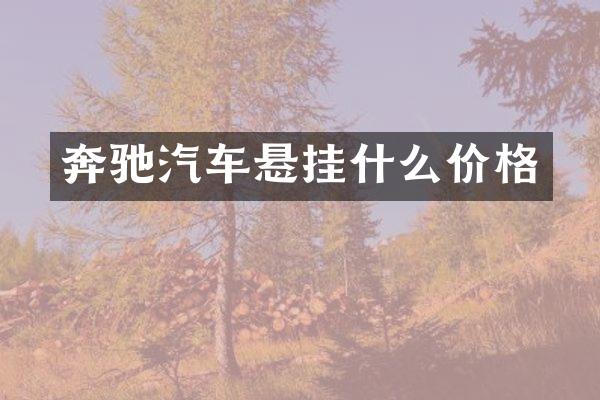 奔驰汽车悬挂什么价格