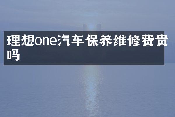 理想one汽车保养维修费贵吗