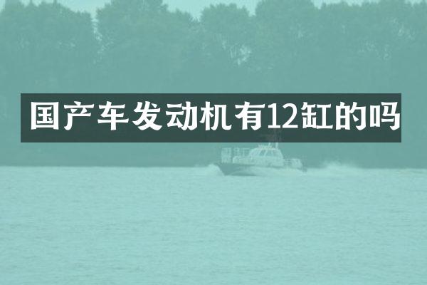 国产车发动机有12缸的吗