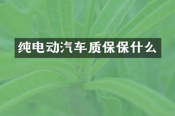 纯电动汽车质保保什么