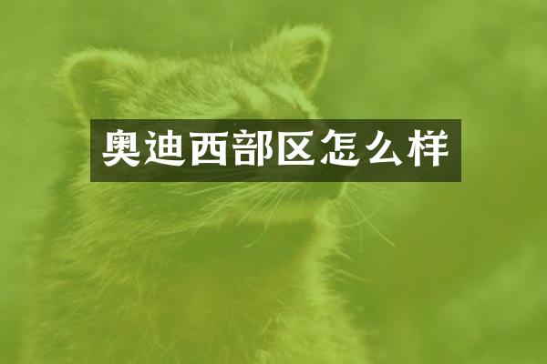 奥迪西部区怎么样