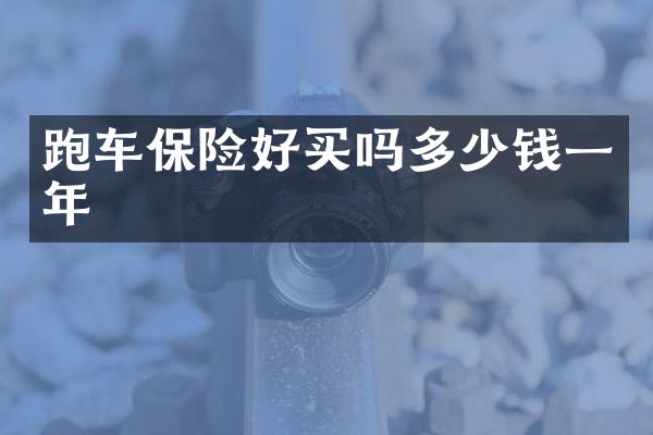 跑车保险好买吗多少钱一年