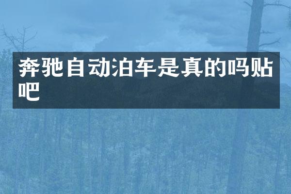 奔驰自动泊车是真的吗贴吧