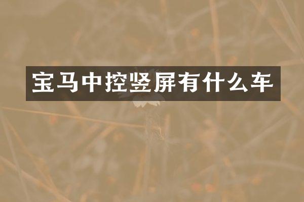 宝马中控竖屏有什么车