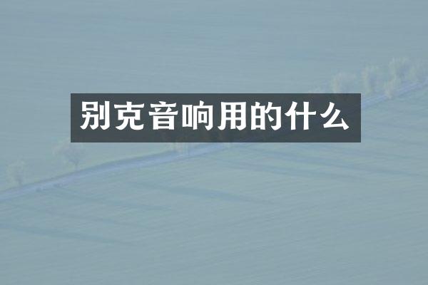 别克音响用的什么