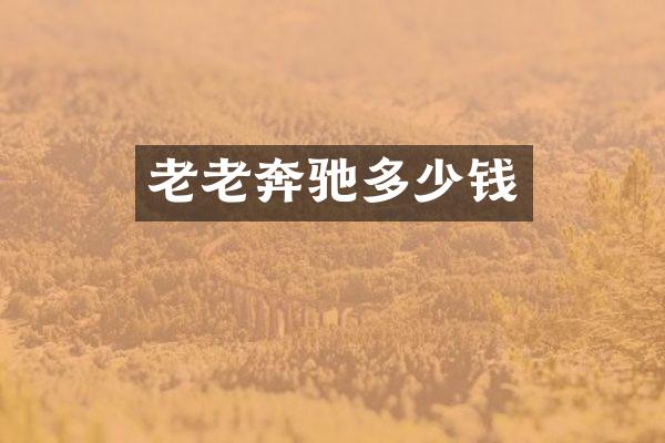 老老奔驰多少钱
