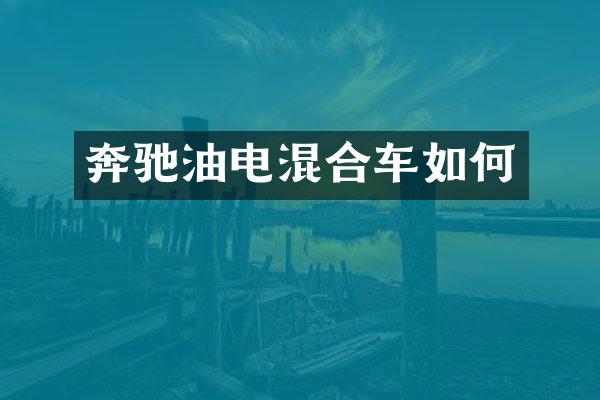 奔驰油电混合车如何