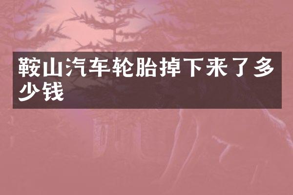 鞍山汽车轮胎掉下来了多少钱