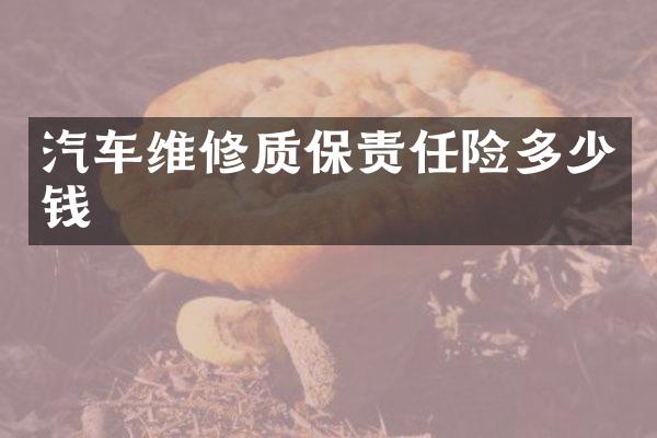 汽车维修质保责任险多少钱