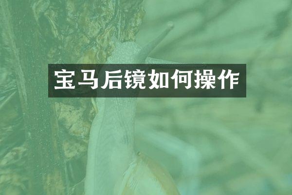 宝马后镜如作