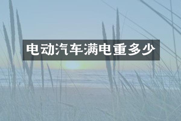 电动汽车满电重多少