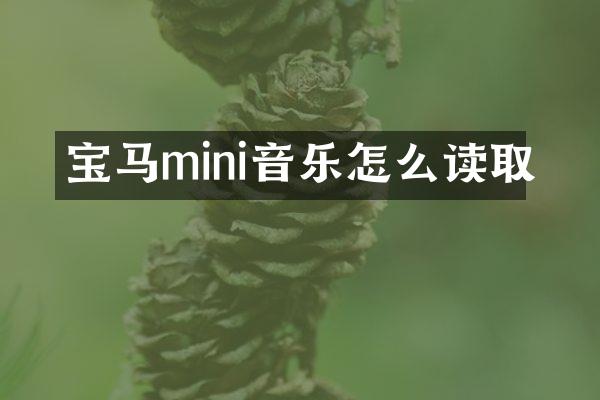 宝马mini音乐怎么读取