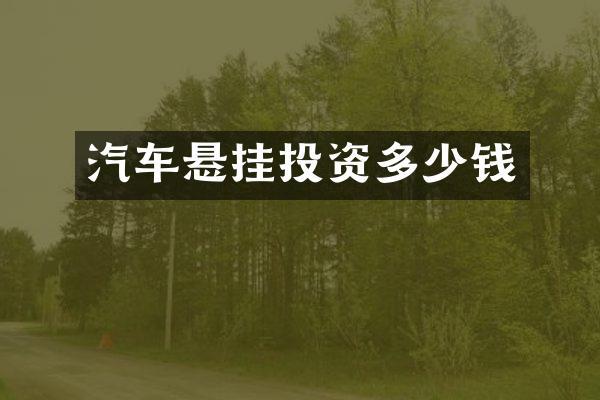 汽车悬挂投资多少钱
