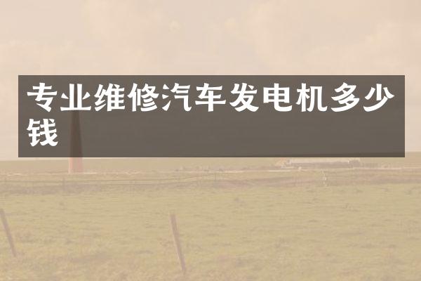 专业维修汽车发电机多少钱
