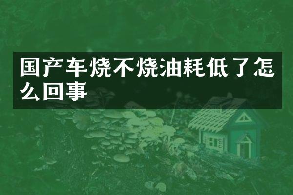 国产车烧不烧油耗低了怎么回事