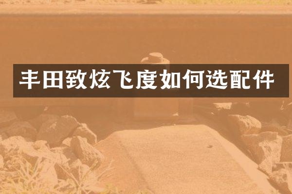 丰田致炫飞度如何选配件