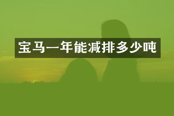 宝马一年能减排多少吨