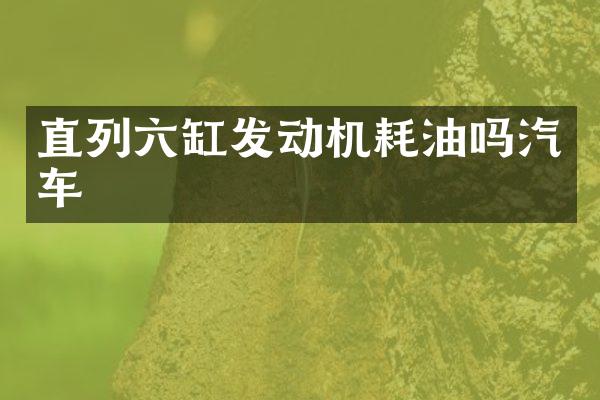 直列六缸发动机耗油吗汽车