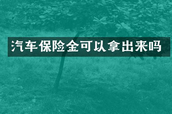 汽车保险金可以拿出来吗