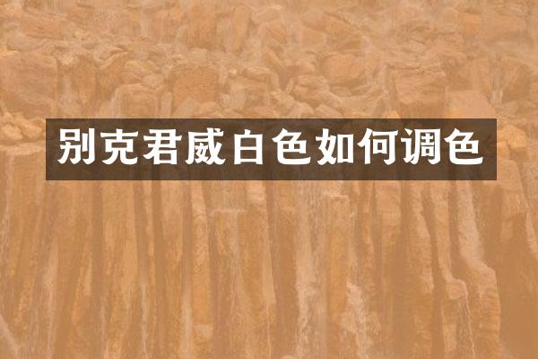 别克君威白色如何调色