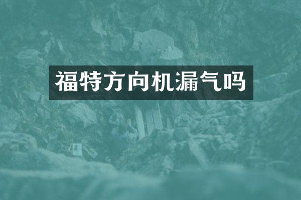 福特方向机漏气吗