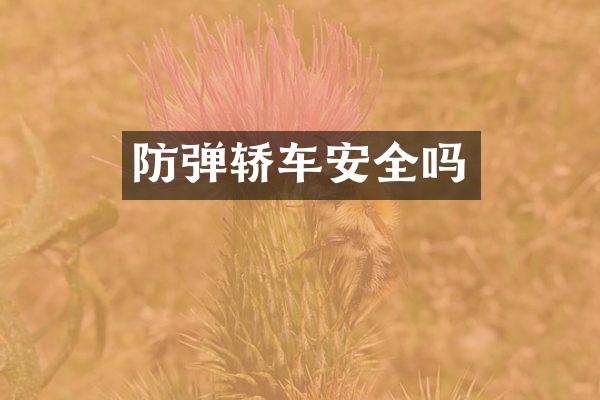 轿车安全吗