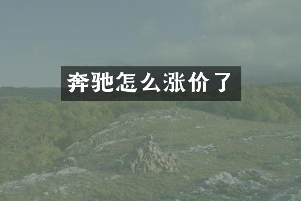 奔驰怎么涨价了