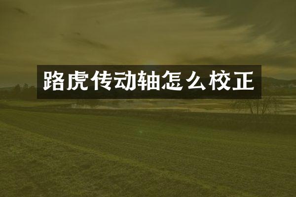 路虎传动轴怎么校正