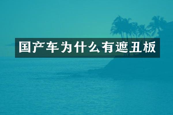 国产车为什么有遮丑板