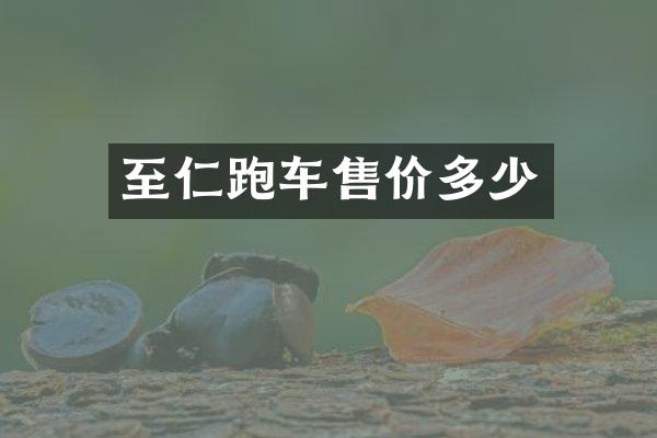 至仁跑车售价多少