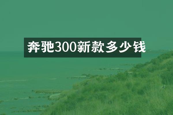 奔驰300新款多少钱