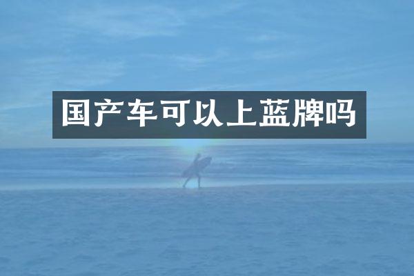 国产车可以上蓝牌吗
