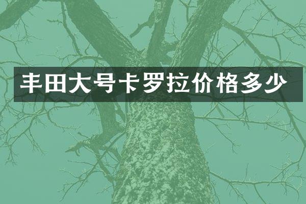 丰田大号卡罗拉价格多少
