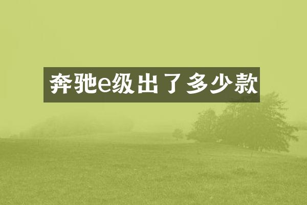 奔驰e级出了多少款