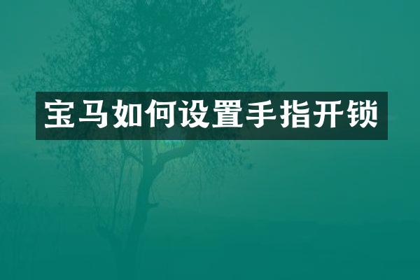 宝马如何设置手指开锁