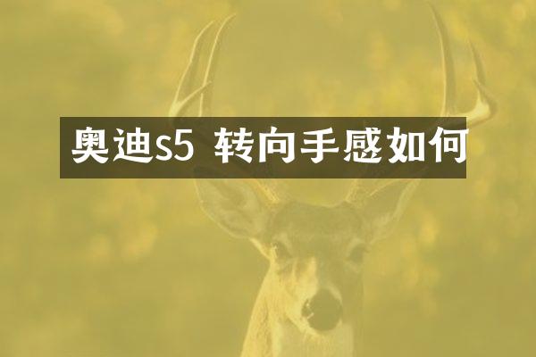 奥迪s5 转向手感如何