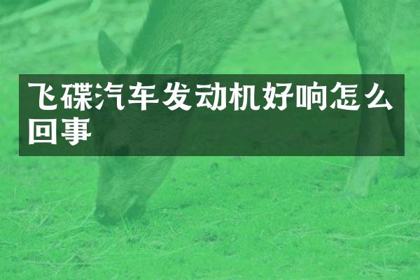 飞碟汽车发动机好响怎么回事