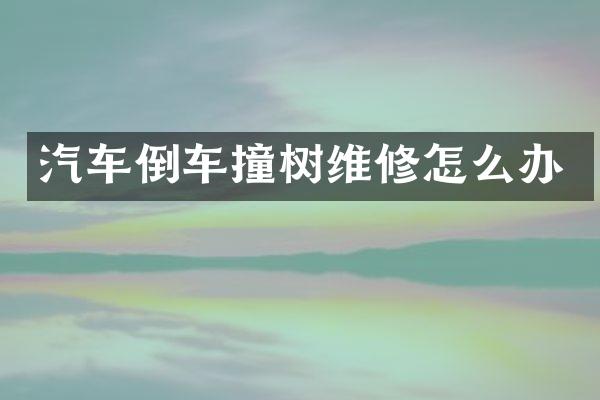 汽车倒车撞树维修怎么办