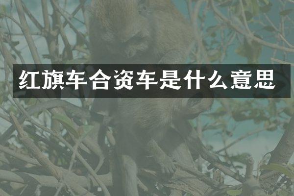 红旗车合资车是什么意思