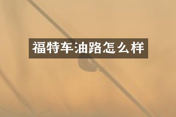 福特车油路怎么样