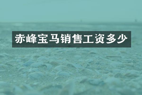 赤峰宝马销售工资多少