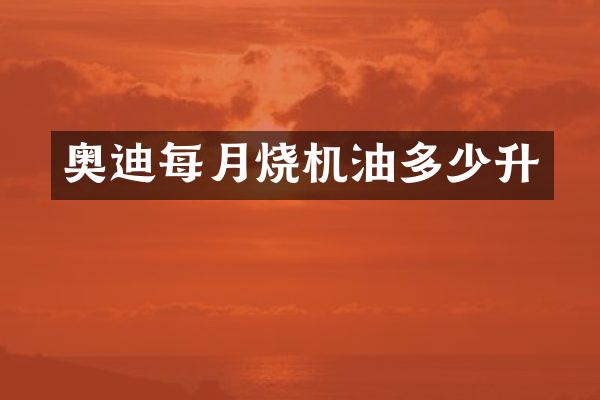 奥迪每月烧机油多少升